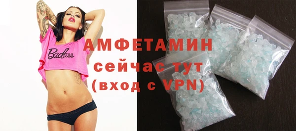 ГАЛЛЮЦИНОГЕННЫЕ ГРИБЫ Гусь-Хрустальный