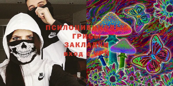 а пвп мука Вяземский