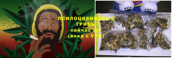 меф Горняк