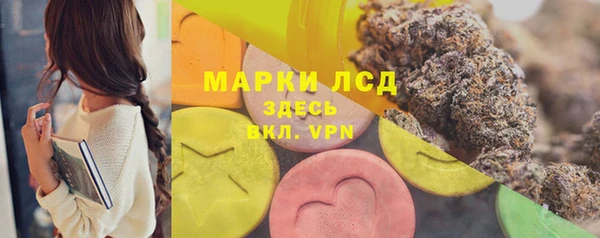 ГАЛЛЮЦИНОГЕННЫЕ ГРИБЫ Гусь-Хрустальный