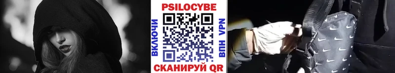 Галлюциногенные грибы Psilocybe  Заводоуковск 