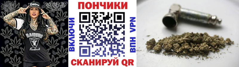 наркота  Заводоуковск  MEGA tor  МАРИХУАНА Amnesia 
